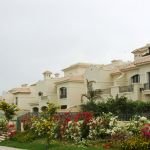 El Patio 1