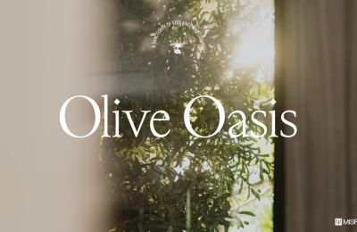 Olive Oasis - Solare