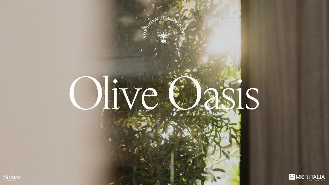 Olive Oasis - Solare