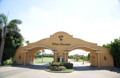 وادي النخيل