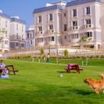 ماونتن فيو هضبة الجيزة