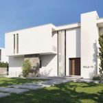 دايركشن وايت