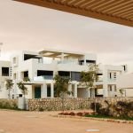 Hacienda White