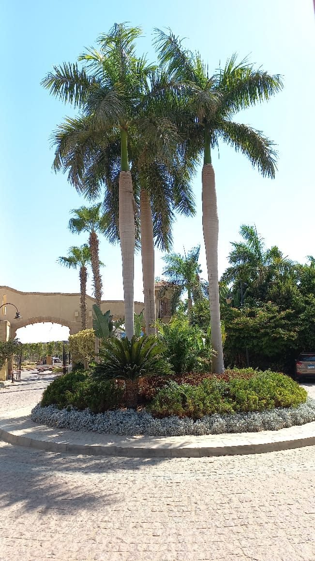 Dara Gardens