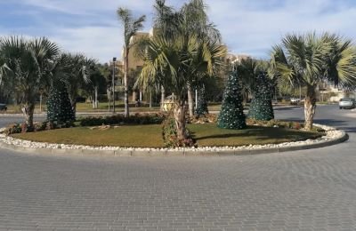For sale: 4-bedroom Townhouse 356 m² in Palm Parks, 6th of October City, Egypt