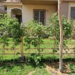 2-bedroom Townhouse 160 m² for sale in Hyde Park, 6th settlement, Egypt