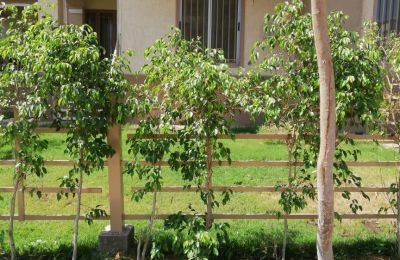 2-bedroom Townhouse 160 m² for sale in Hyde Park, 6th settlement, Egypt